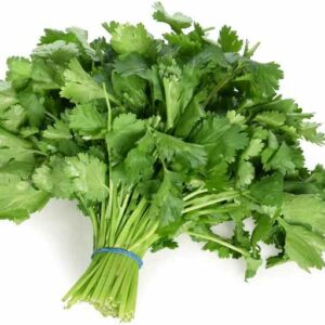 Coriander