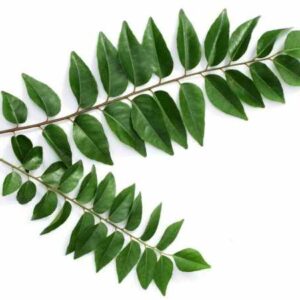 Curry leaves 40-50g